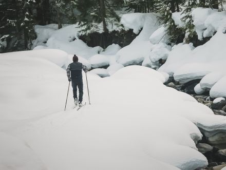 Nordic, Downhill Ski & Snowshoe